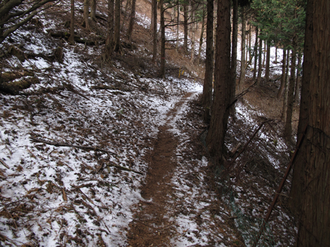 20181214hike (506)